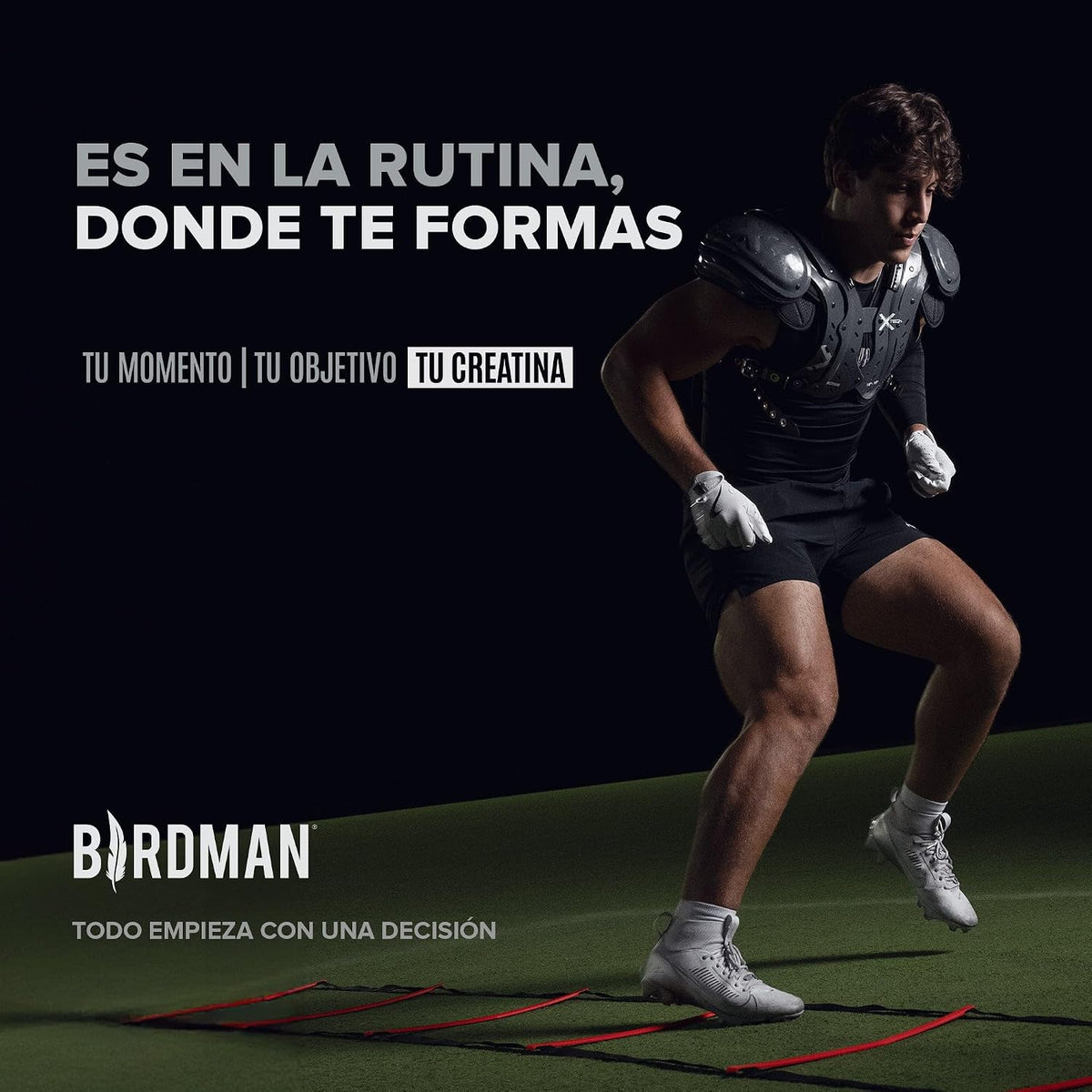 BIRDMAN – Creatina monohidratada micronizada
